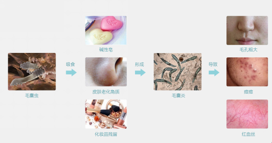 護(hù)膚小常識(1)-陳艷麗化妝品-董煥181