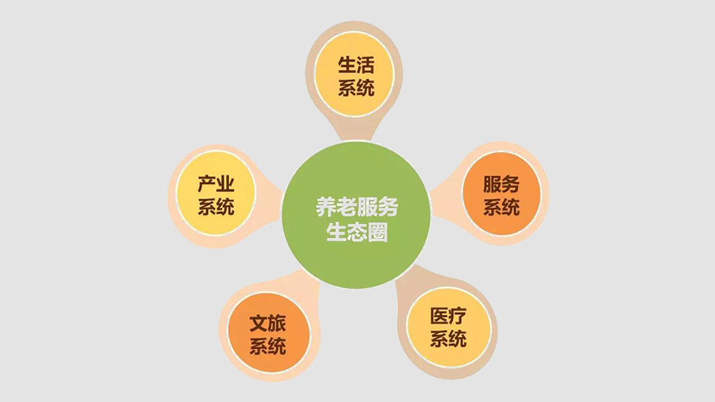 打造養(yǎng)老數(shù)字化平臺 賦能養(yǎng)老行業(yè)規(guī)?；l(fā)展(圖10)